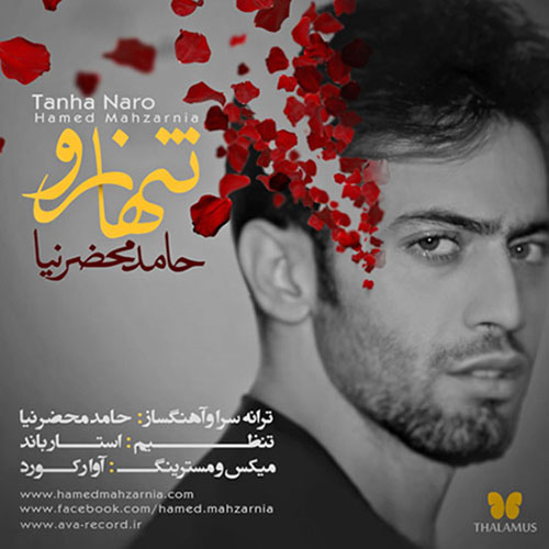 دانلود آهنگ تنها نرو